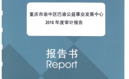 2016年度财务报表审计报告