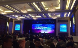 郑建参加重庆市青年联合会2016年度工作总结会