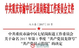 巴渝公益党支部获得“共产党员先锋号”“共产党员示范岗”荣誉称号