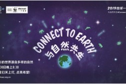 巴渝公益携手东原·悦荟·新新Park开展地球一小时活动