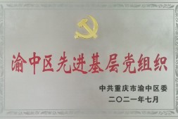 巴渝公益党支部荣获“渝中区先进基层党组织”